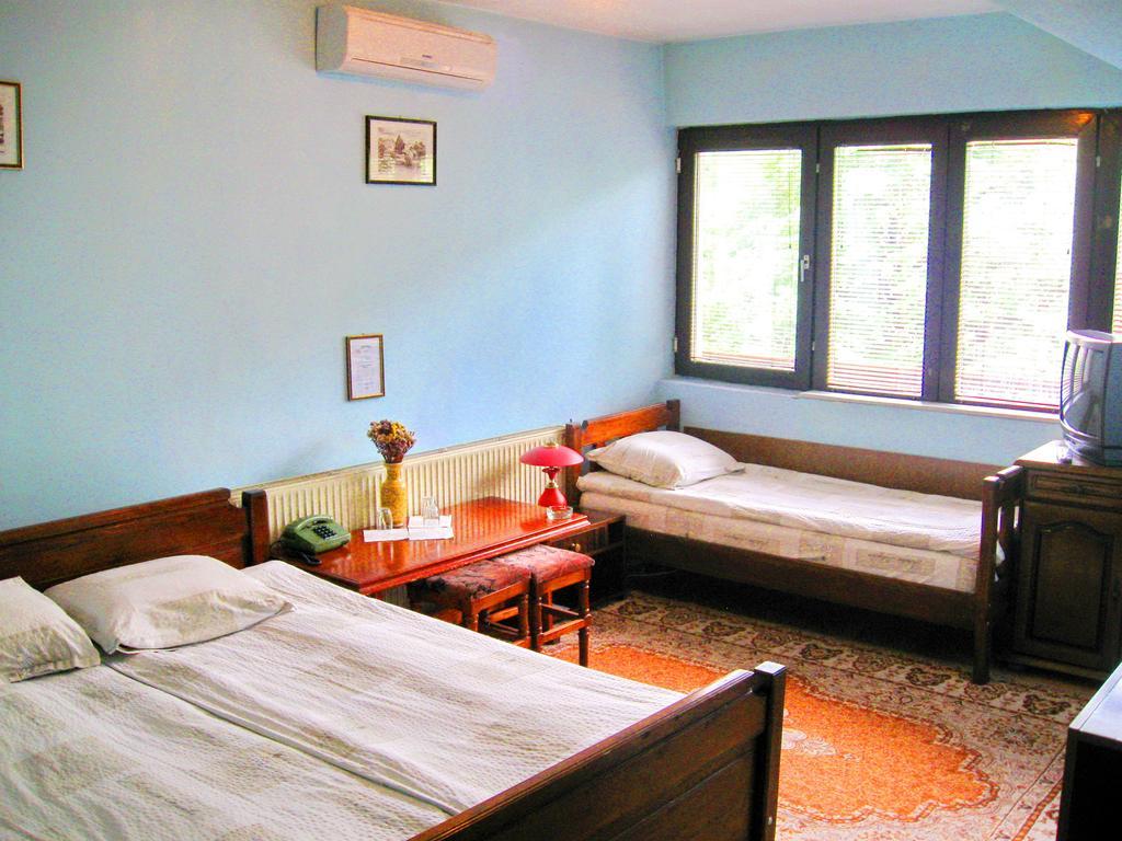 Amfora Rooms Caribrod Dimitrovgrad Cameră foto