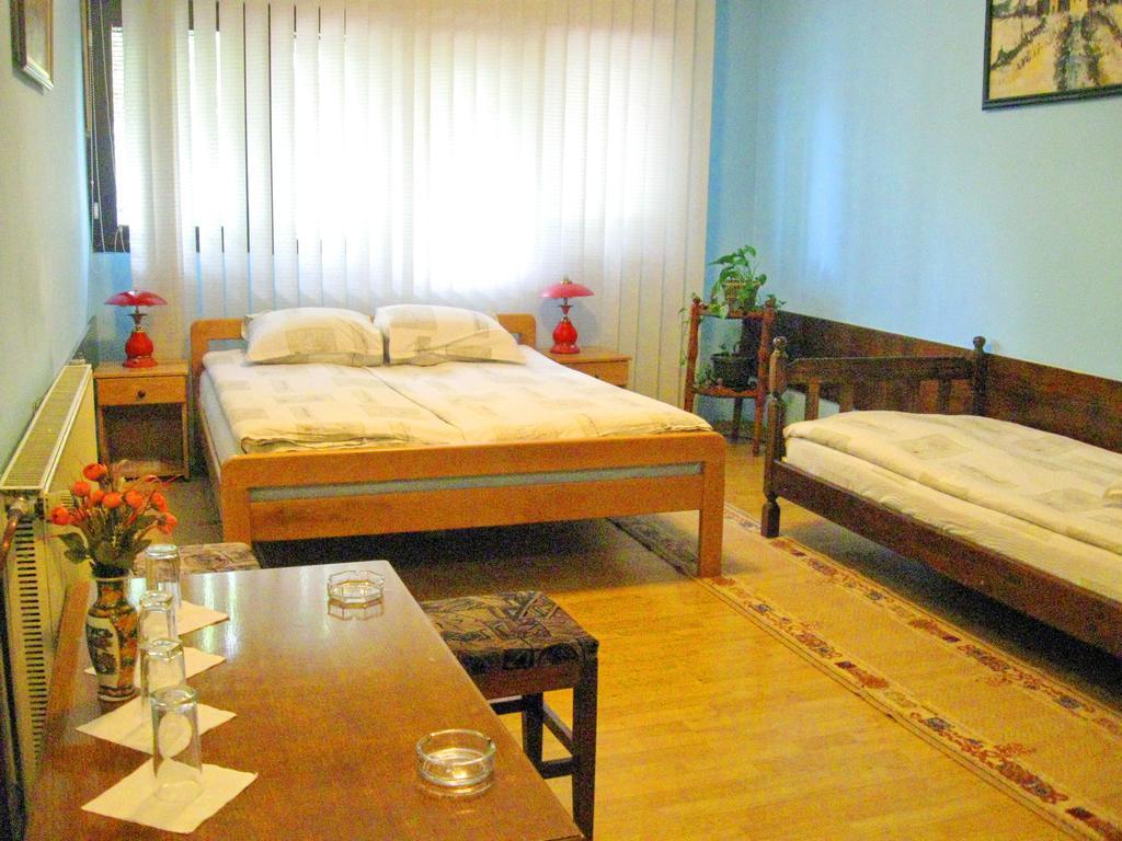 Amfora Rooms Caribrod Dimitrovgrad Cameră foto