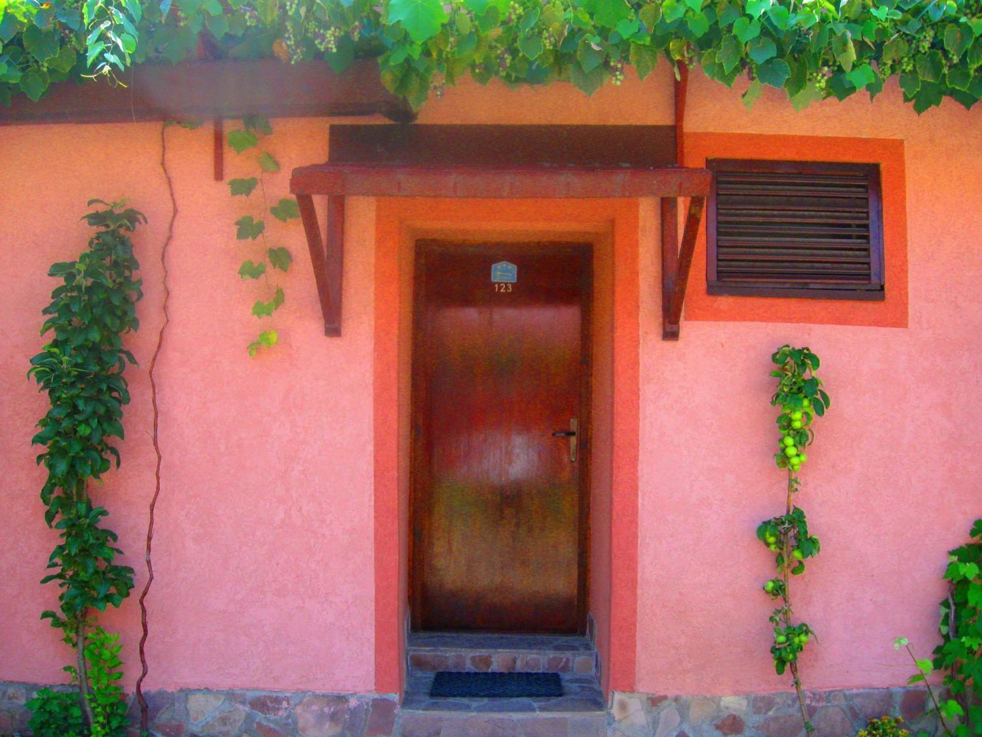 Amfora Rooms Caribrod Dimitrovgrad Cameră foto