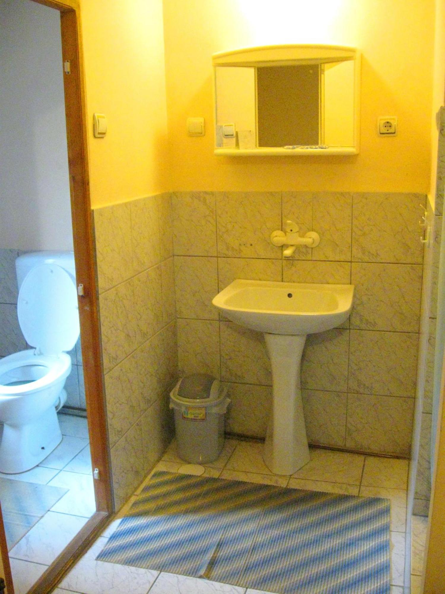 Amfora Rooms Caribrod Dimitrovgrad Cameră foto